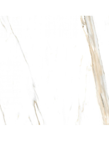 Pudico Square Pulido 74 X 74